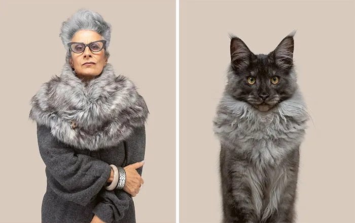 Marielle And Jacques (Silver Maine Coon)