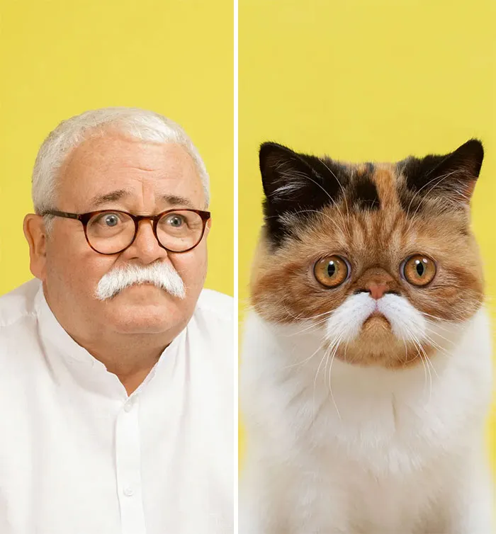 Do You Look Like Your Cat