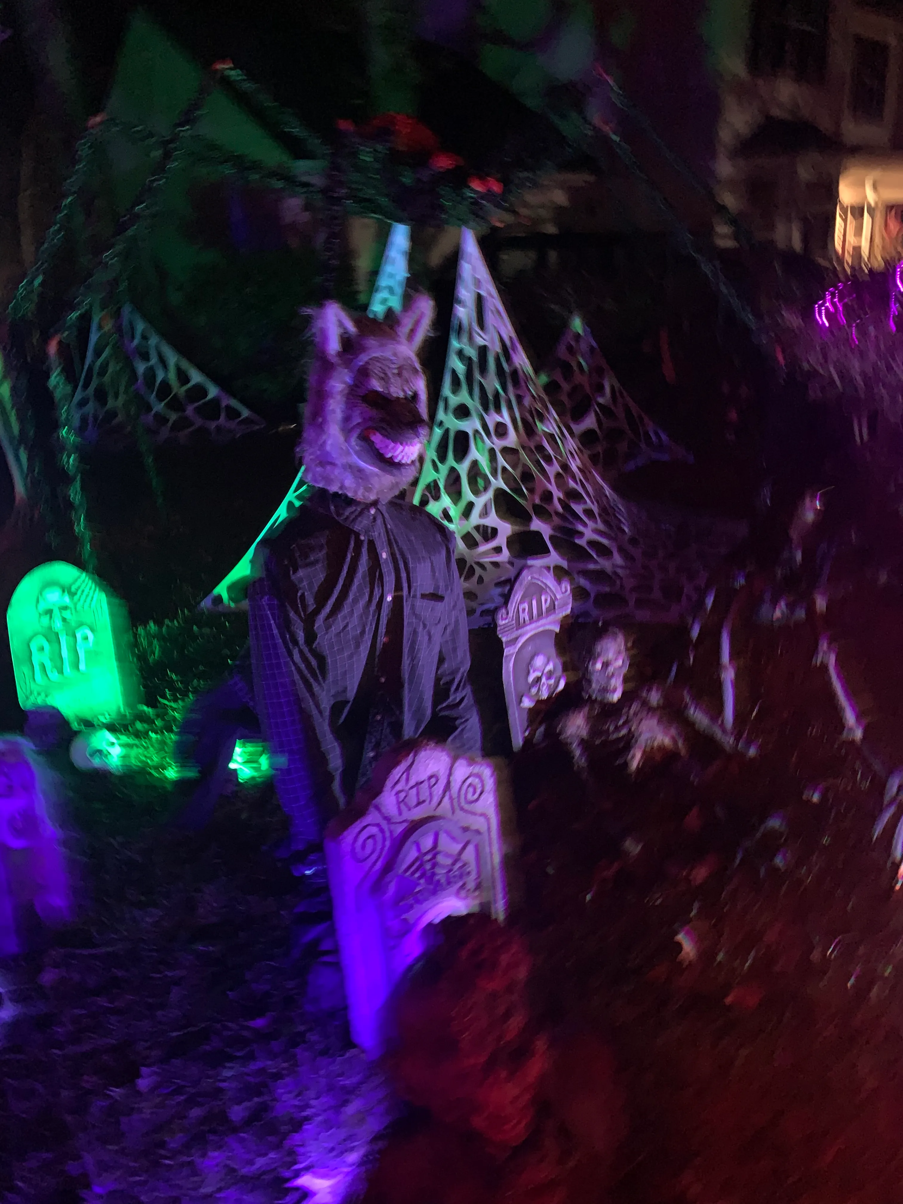 My Halloween Haunt