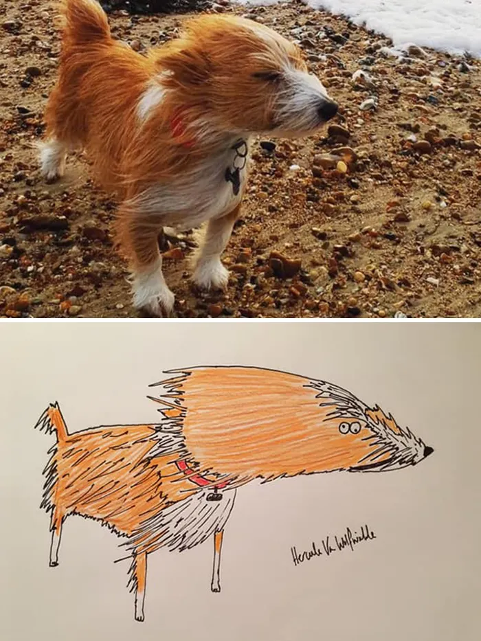 Man Who's Never Drawn In His Life Does Crappy Pet Portraits For Charity And Raises Over £13.6k (30 New Pics)