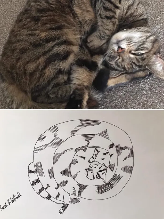 Man Who's Never Drawn In His Life Does Crappy Pet Portraits For Charity And Raises Over £13.6k (30 New Pics)