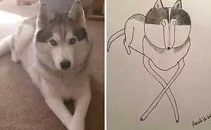 Man Who's Never Drawn In His Life Does Crappy Pet Portraits For Charity And Raises Over £13.6k (30 New Pics)