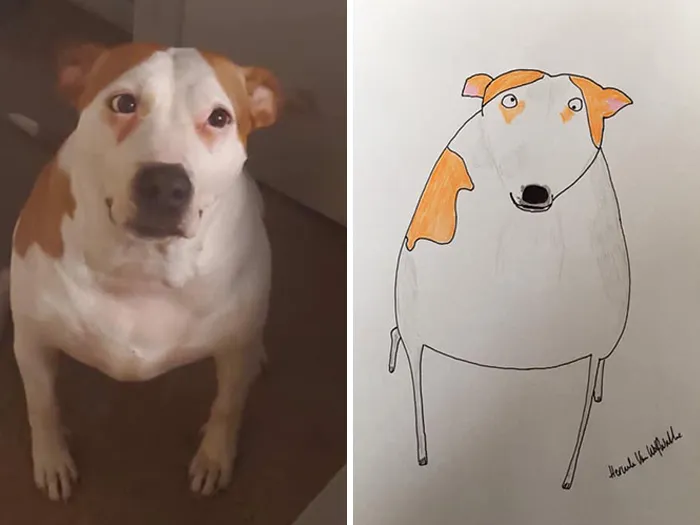 Man Who's Never Drawn In His Life Does Crappy Pet Portraits For Charity And Raises Over £13.6k (30 New Pics)