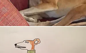 Man Who's Never Drawn In His Life Does Crappy Pet Portraits For Charity And Raises Over £13.6k (30 New Pics)