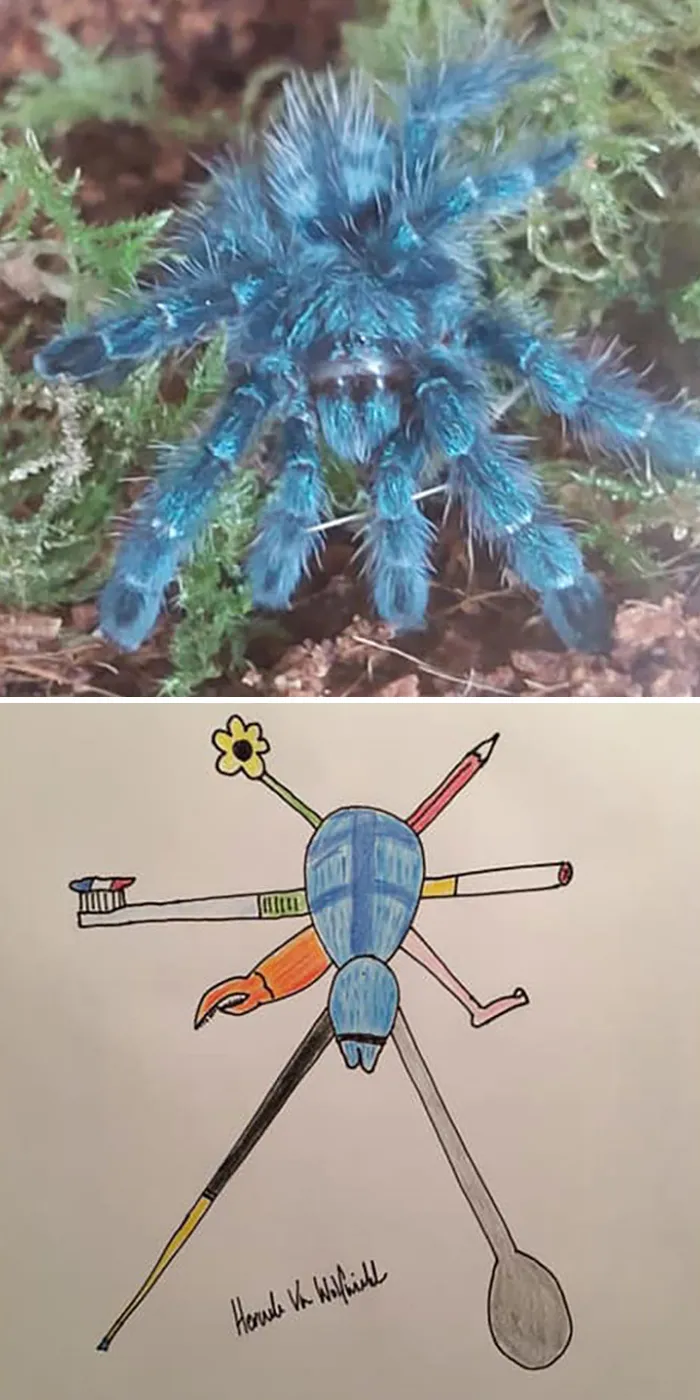 Man Who's Never Drawn In His Life Does Crappy Pet Portraits For Charity And Raises Over £13.6k (30 New Pics)
