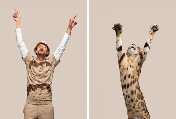 Do You Look Like Your Cat