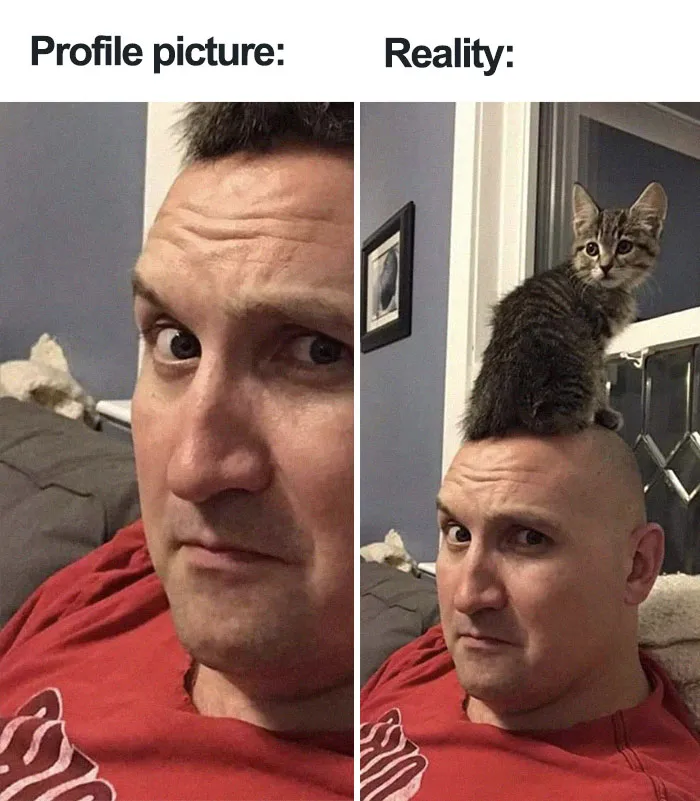 Profile Picture