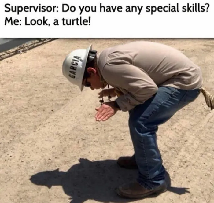 Ah Yes,turtle