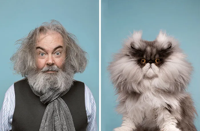Do You Look Like Your Cat