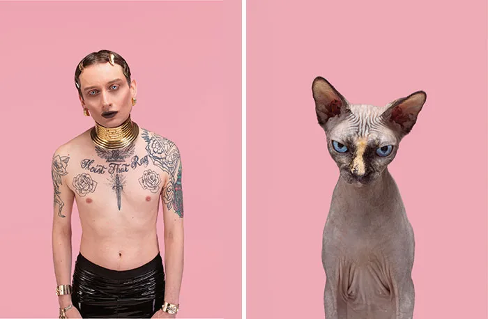 Do You Look Like Your Cat