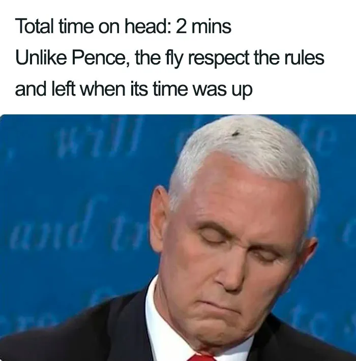 47 Memes That Wouldn't Exist If The Fly Didn't Land On Mike Pence's Head Last Night