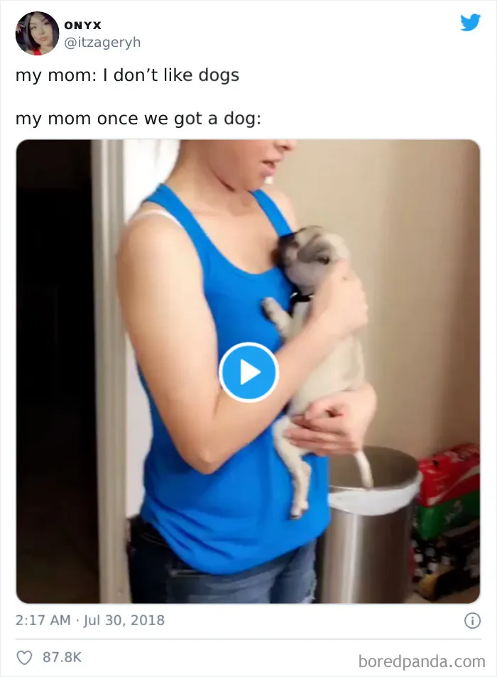 30 Latina Moms Who Totally Didn't Want A Dog