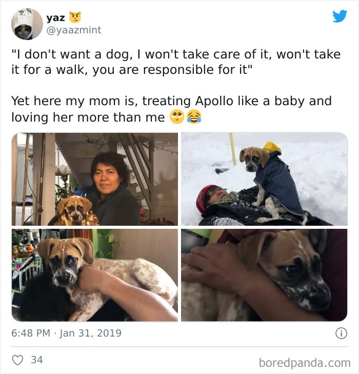30 Latina Moms Who Totally Didn't Want A Dog