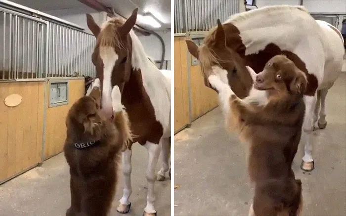 Friendship Is A Very Beautiful Thing