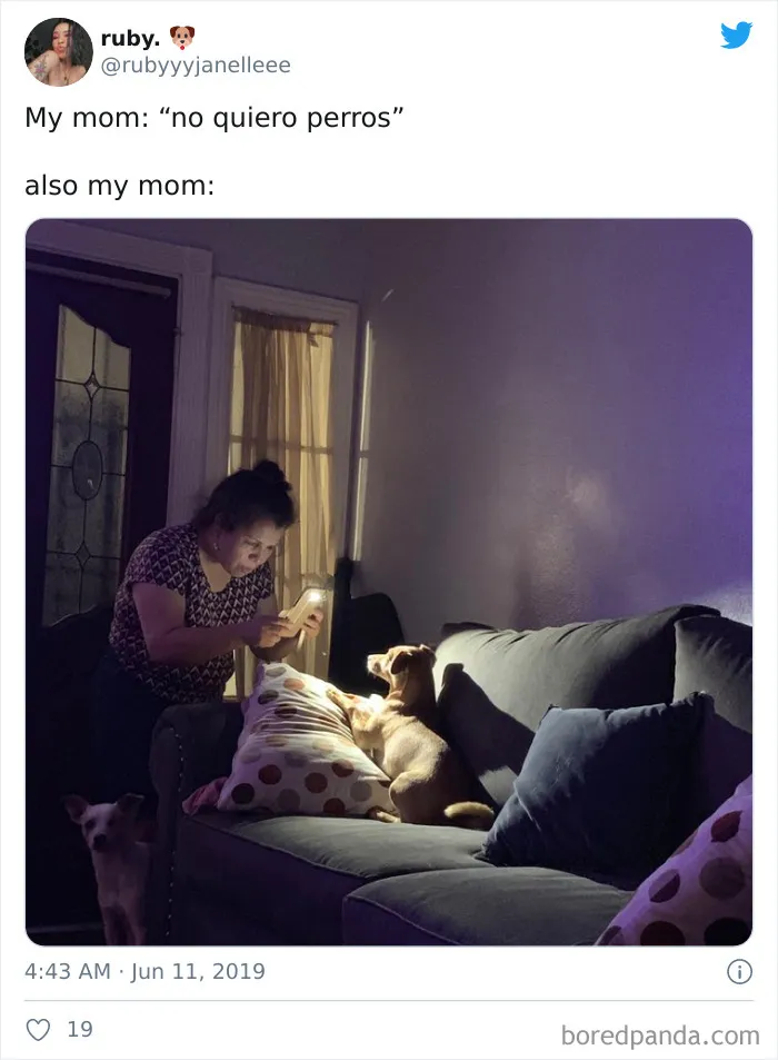 30 Latina Moms Who Totally Didn't Want A Dog