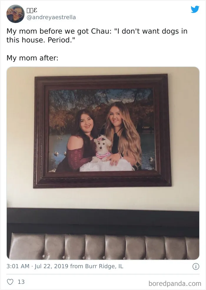 30 Latina Moms Who Totally Didn't Want A Dog