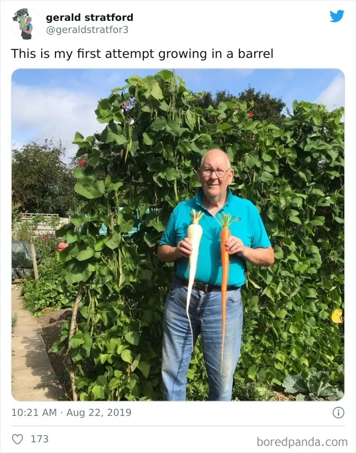 71-Year-Old Veggie King Posts Gardening Pics, Becomes An Internet Sensation (30 Pics)