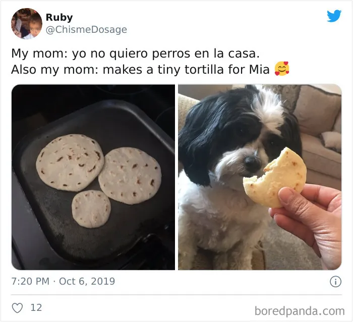 30 Latina Moms Who Totally Didn't Want A Dog