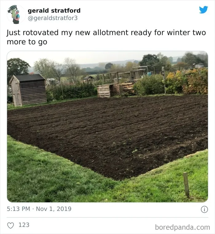 71-Year-Old Veggie King Posts Gardening Pics, Becomes An Internet Sensation (30 Pics)