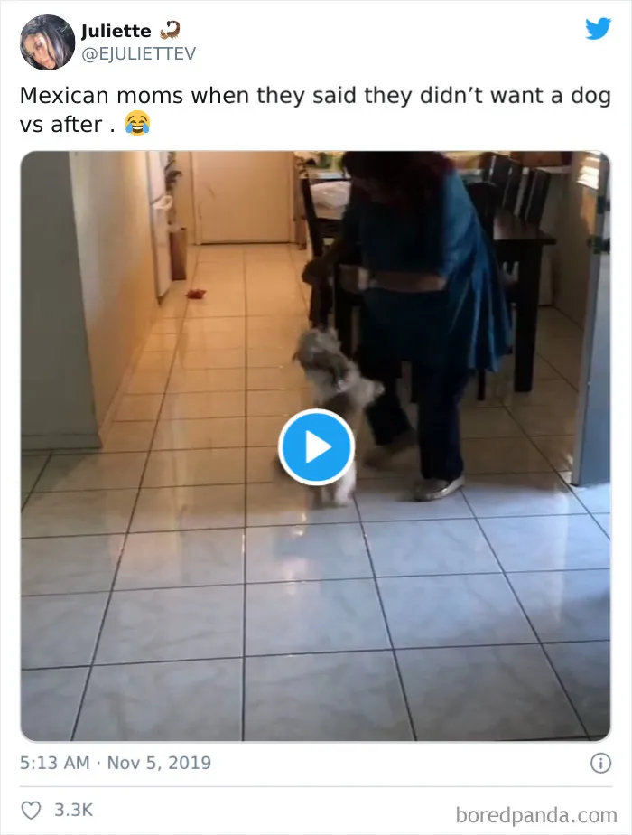 30 Latina Moms Who Totally Didn't Want A Dog