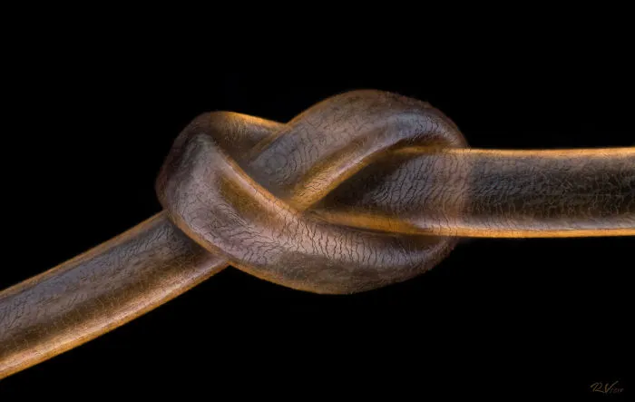 Human hair