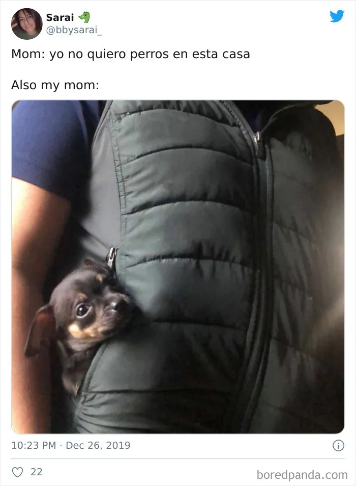 30 Latina Moms Who Totally Didn't Want A Dog
