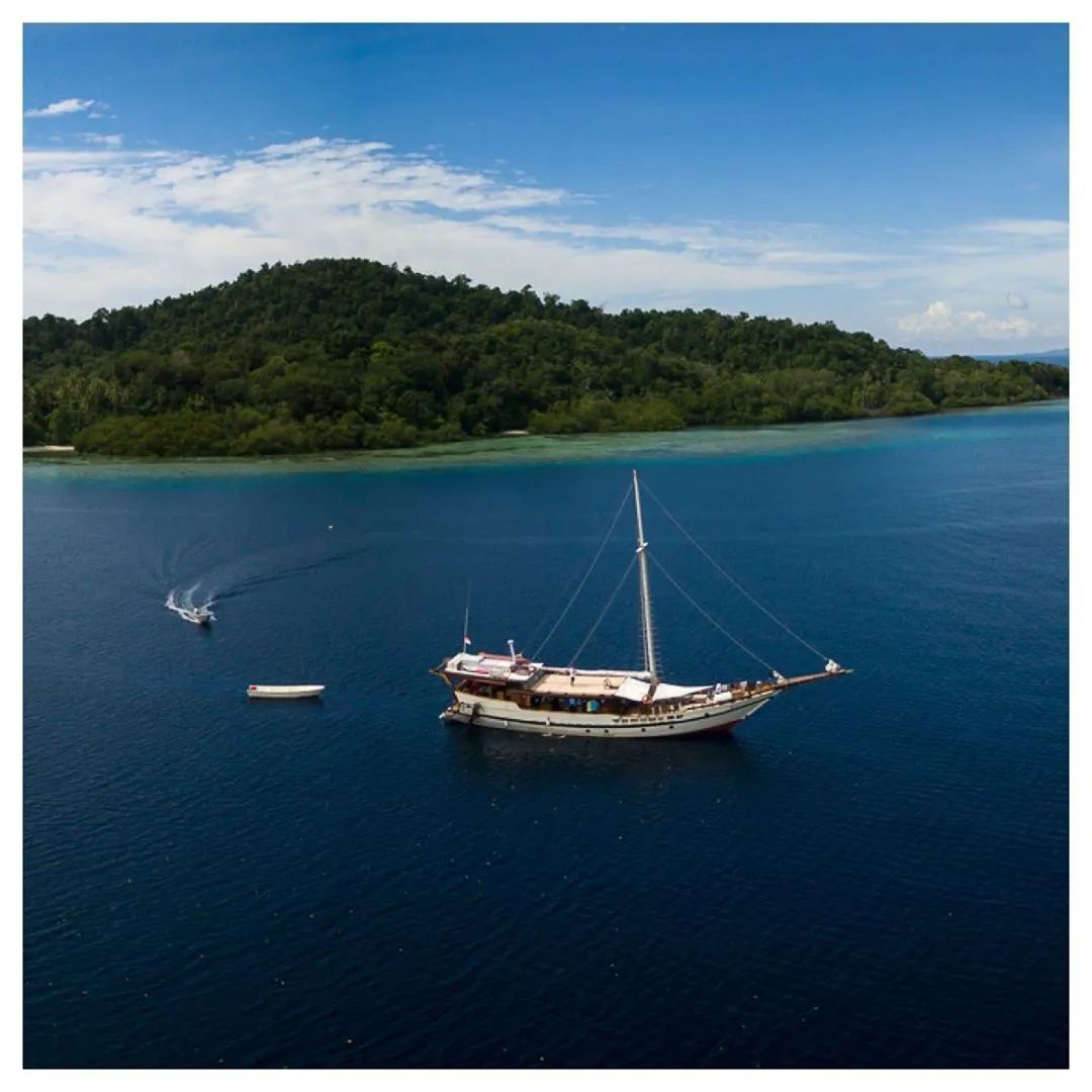 Liveaboard Indonesia For Amazing Holiday