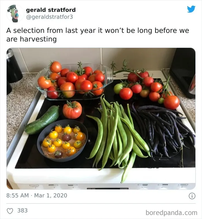 71-Year-Old Veggie King Posts Gardening Pics, Becomes An Internet Sensation (30 Pics)