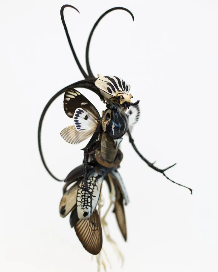 Here Are 18 Surreal Bug Fairies Made From Dead Insects Made By This Amsterdam-Based Artist