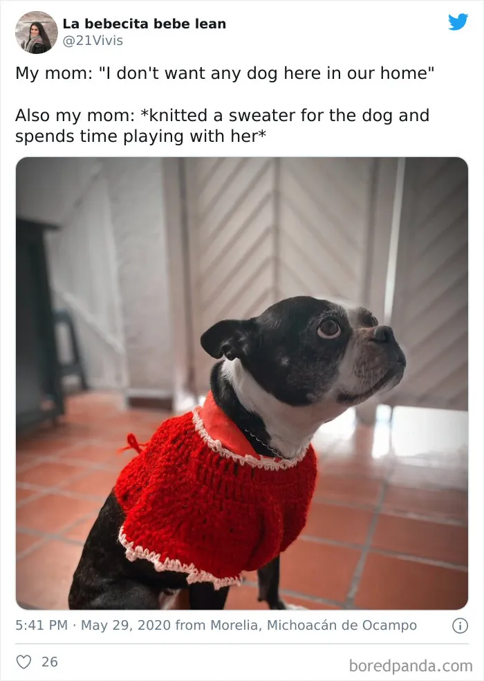 30 Latina Moms Who Totally Didn't Want A Dog