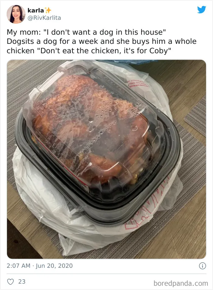 30 Latina Moms Who Totally Didn't Want A Dog