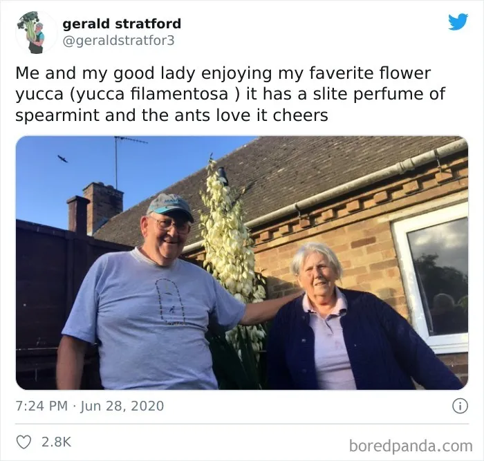71-Year-Old Veggie King Posts Gardening Pics, Becomes An Internet Sensation (30 Pics)