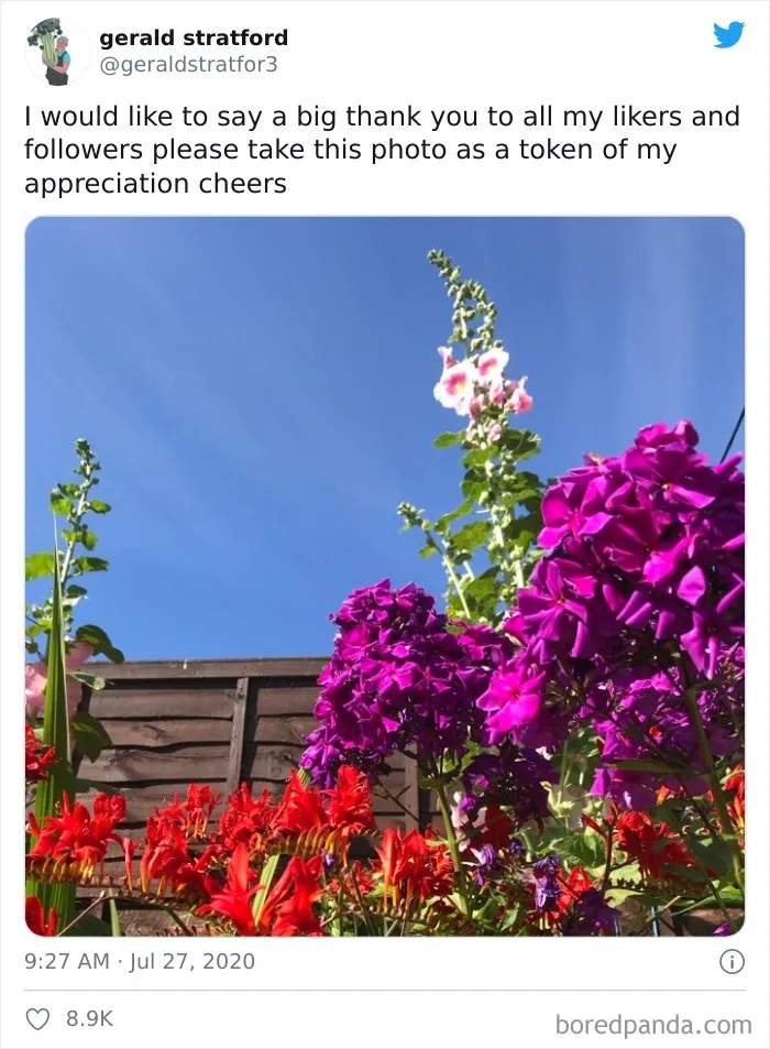 71-Year-Old Veggie King Posts Gardening Pics, Becomes An Internet Sensation (30 Pics)