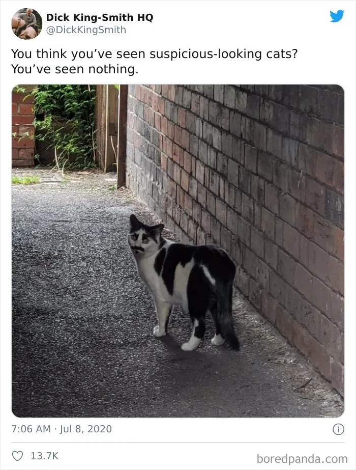 Macavity The Mystery Cat