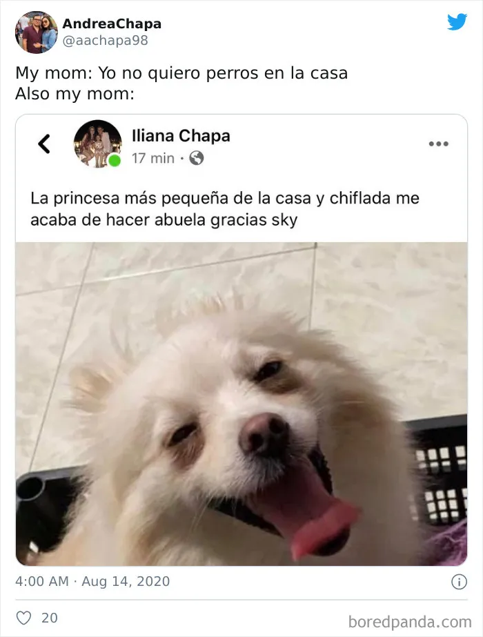 30 Latina Moms Who Totally Didn't Want A Dog