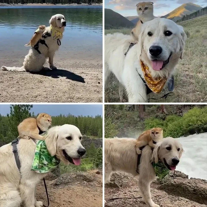 Welcome To This Beautiful, Unlikely Friendship.