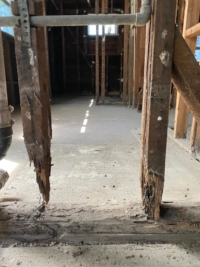 30 Times Structural Inspectors Found Surprising Things