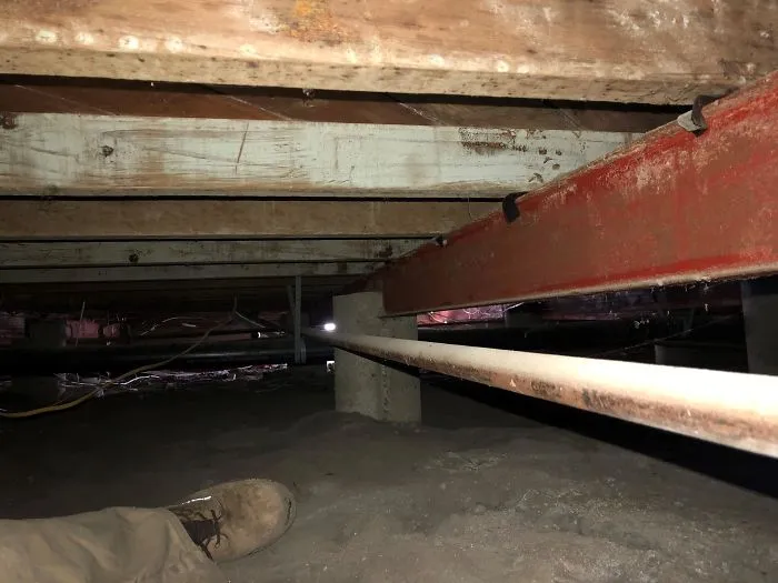 30 Times Structural Inspectors Found Surprising Things