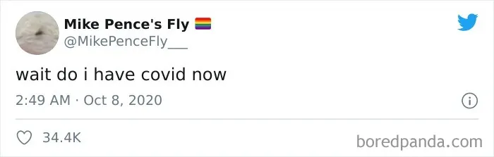 47 Memes That Wouldn't Exist If The Fly Didn't Land On Mike Pence's Head Last Night