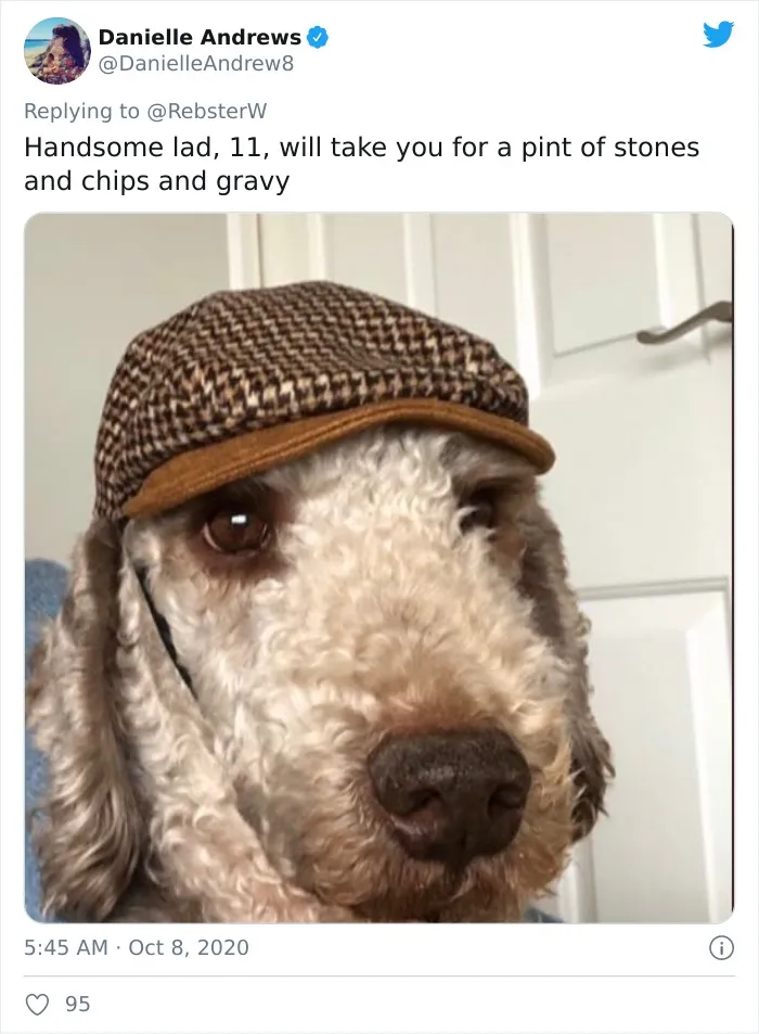 Woman On Twitter Asks What People’s Dogs' Dating Profile Pics Would Be, 30 People Share Photos