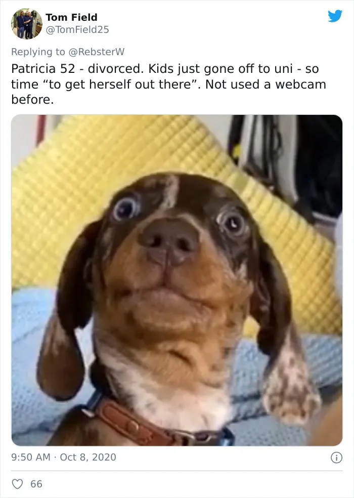 Woman On Twitter Asks What People’s Dogs' Dating Profile Pics Would Be, 30 People Share Photos