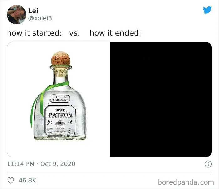 40 Of The Best Responses People Had To The 'How It Started Vs. How It Ended' Meme Challenge