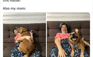 30 Latina Moms Who Totally Didn't Want A Dog