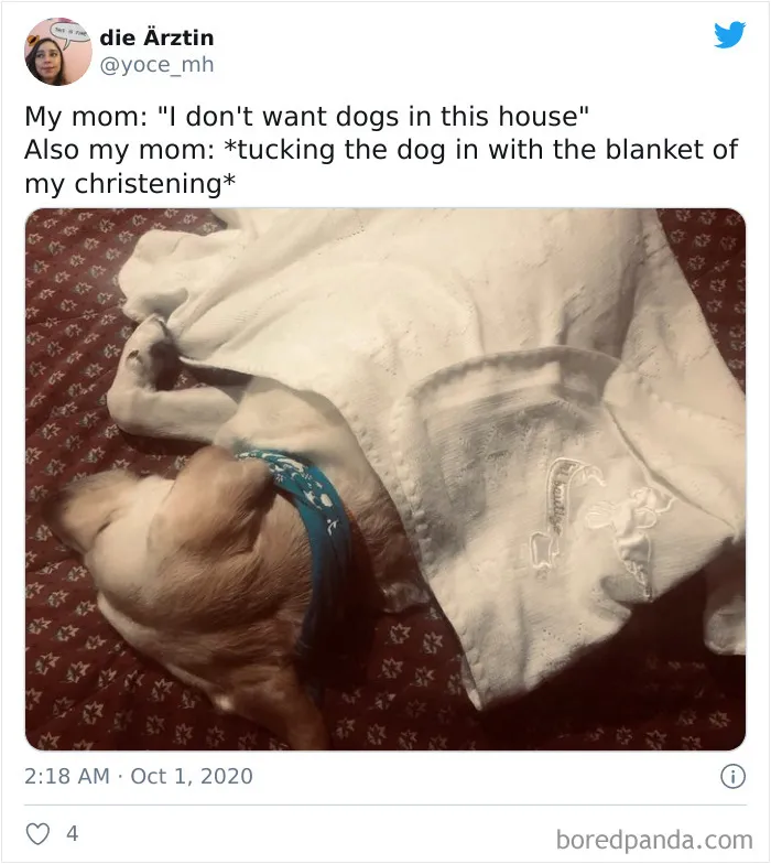 30 Latina Moms Who Totally Didn't Want A Dog