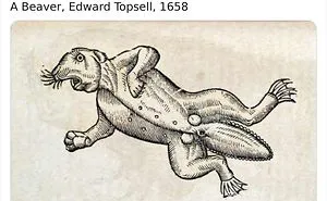 Guy Shares Examples Of Medieval Painters' Attempts To Paint Animals Without Having Seen Them, And It's Hilarious (17 Pics)