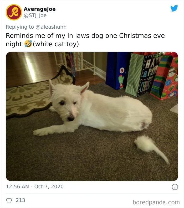 One Christmas Eve Night
