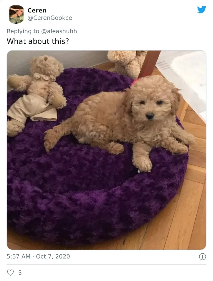 What About This?