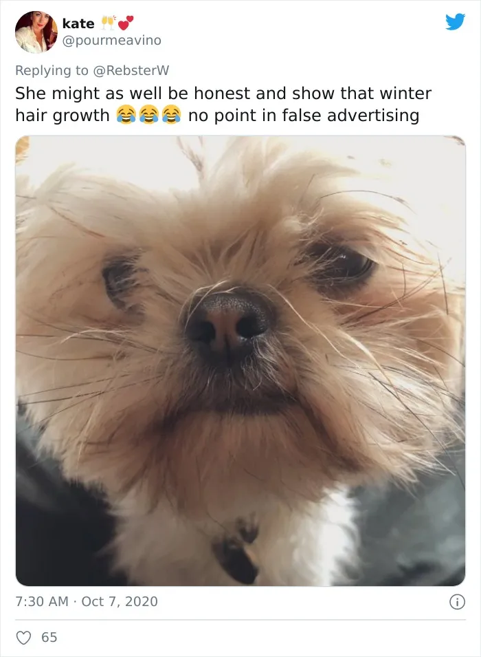 Woman On Twitter Asks What People’s Dogs' Dating Profile Pics Would Be, 30 People Share Photos
