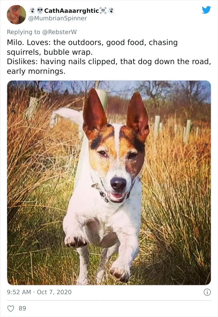Woman On Twitter Asks What People’s Dogs' Dating Profile Pics Would Be, 30 People Share Photos