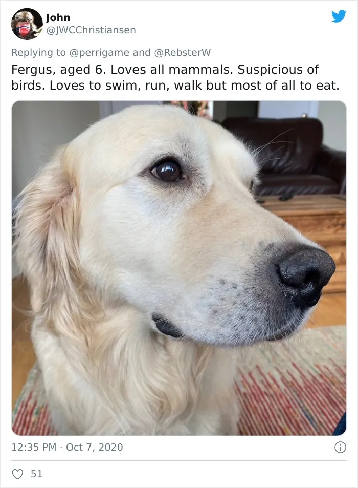 Woman On Twitter Asks What People’s Dogs' Dating Profile Pics Would Be, 30 People Share Photos